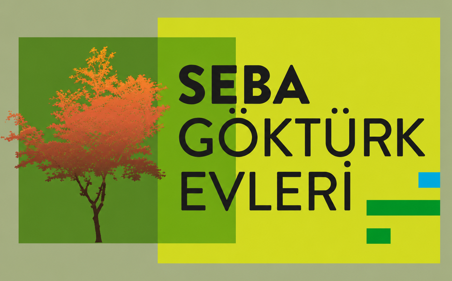 Seba Göktürk Evleri